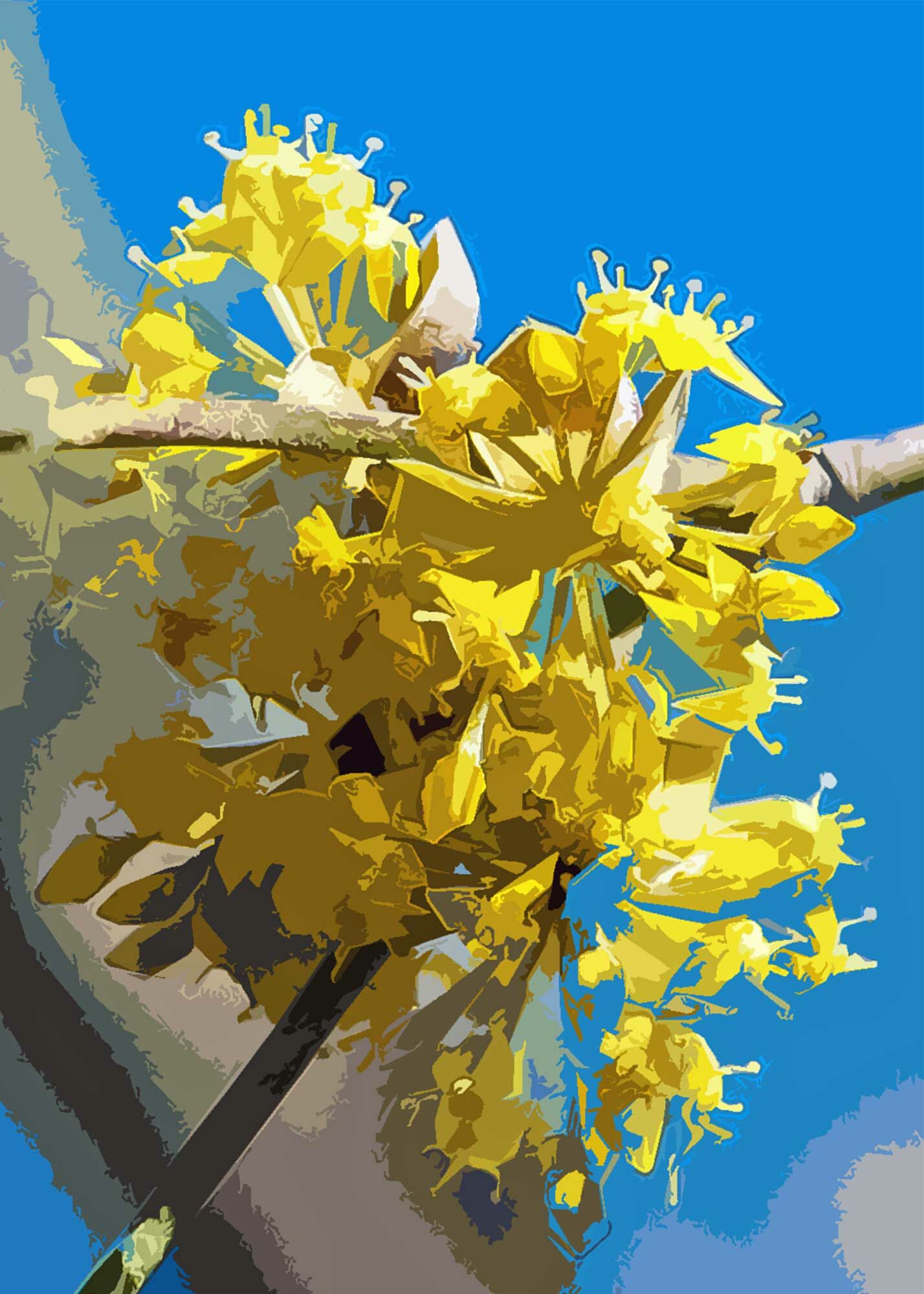 Erhard Biebl - Floral Artcomposing, alle Rechte vorbehalten