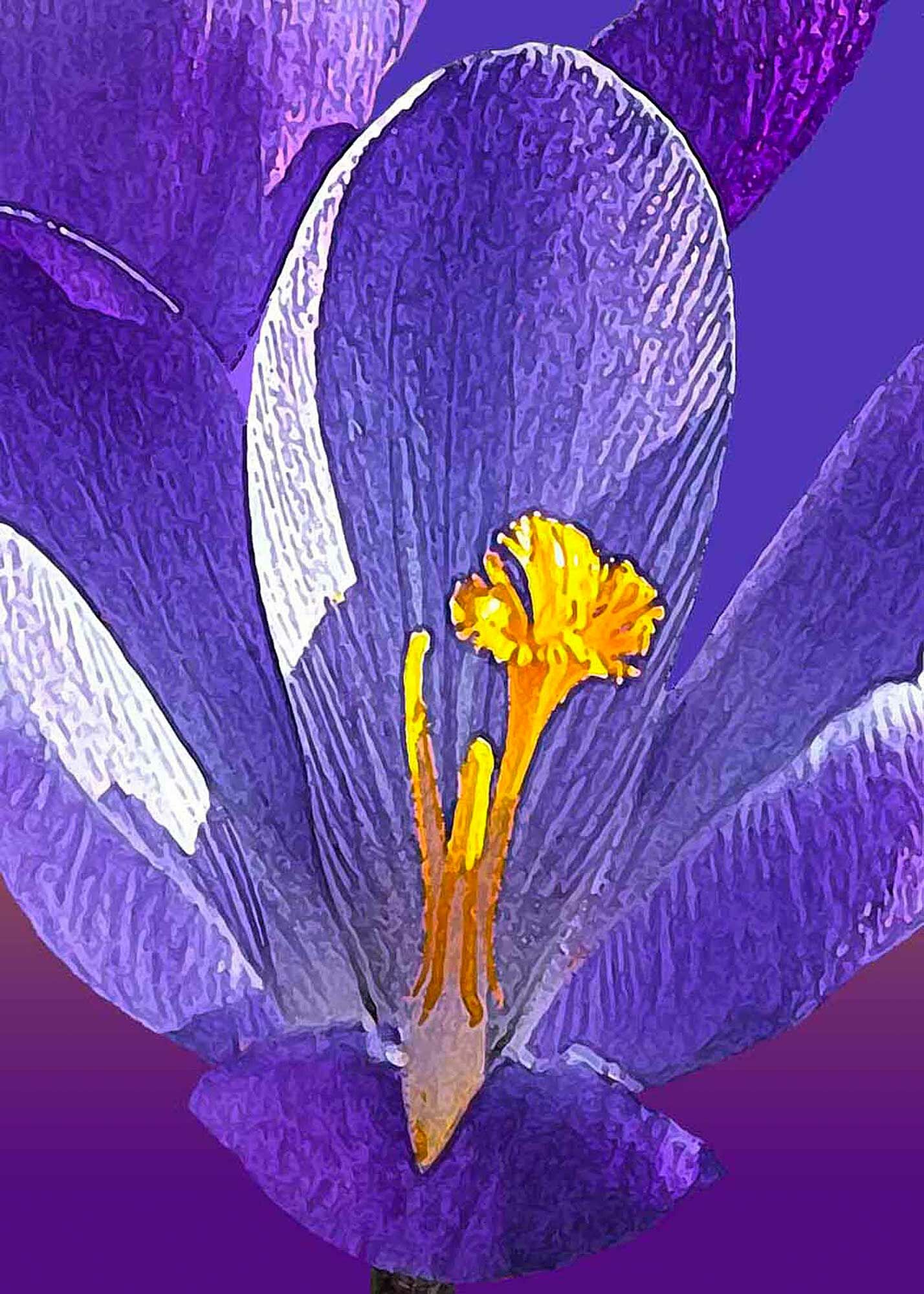 Erhard Biebl - Floral Artcomposing, alle Rechte vorbehalten