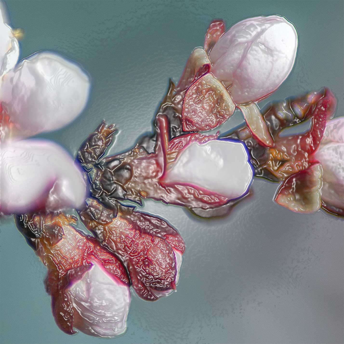 © Erhard Biebl - Floral Artcomposing, alle Rechte vorbehalten