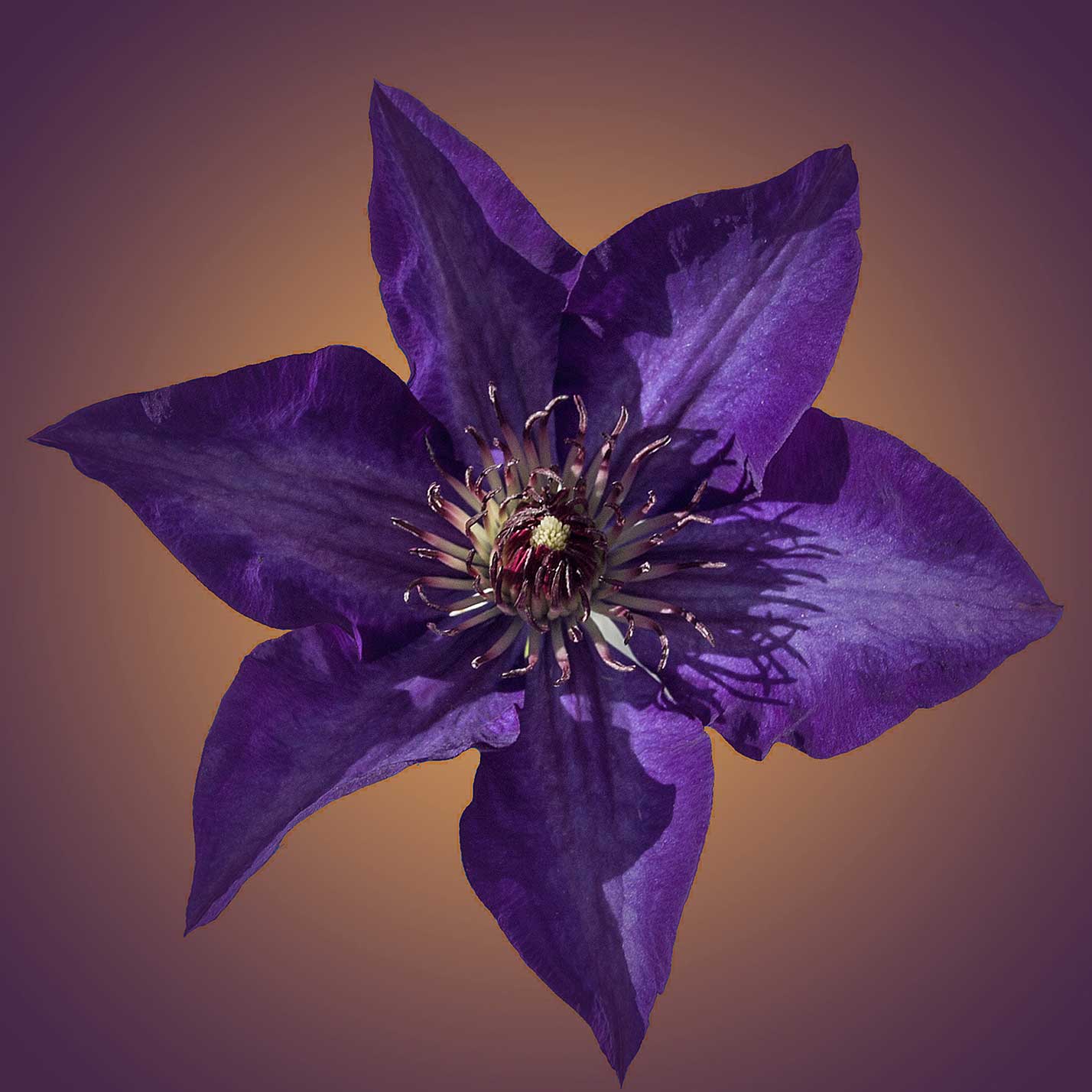© Erhard Biebl - Floral Artcomposing, alle Rechte vorbehalten