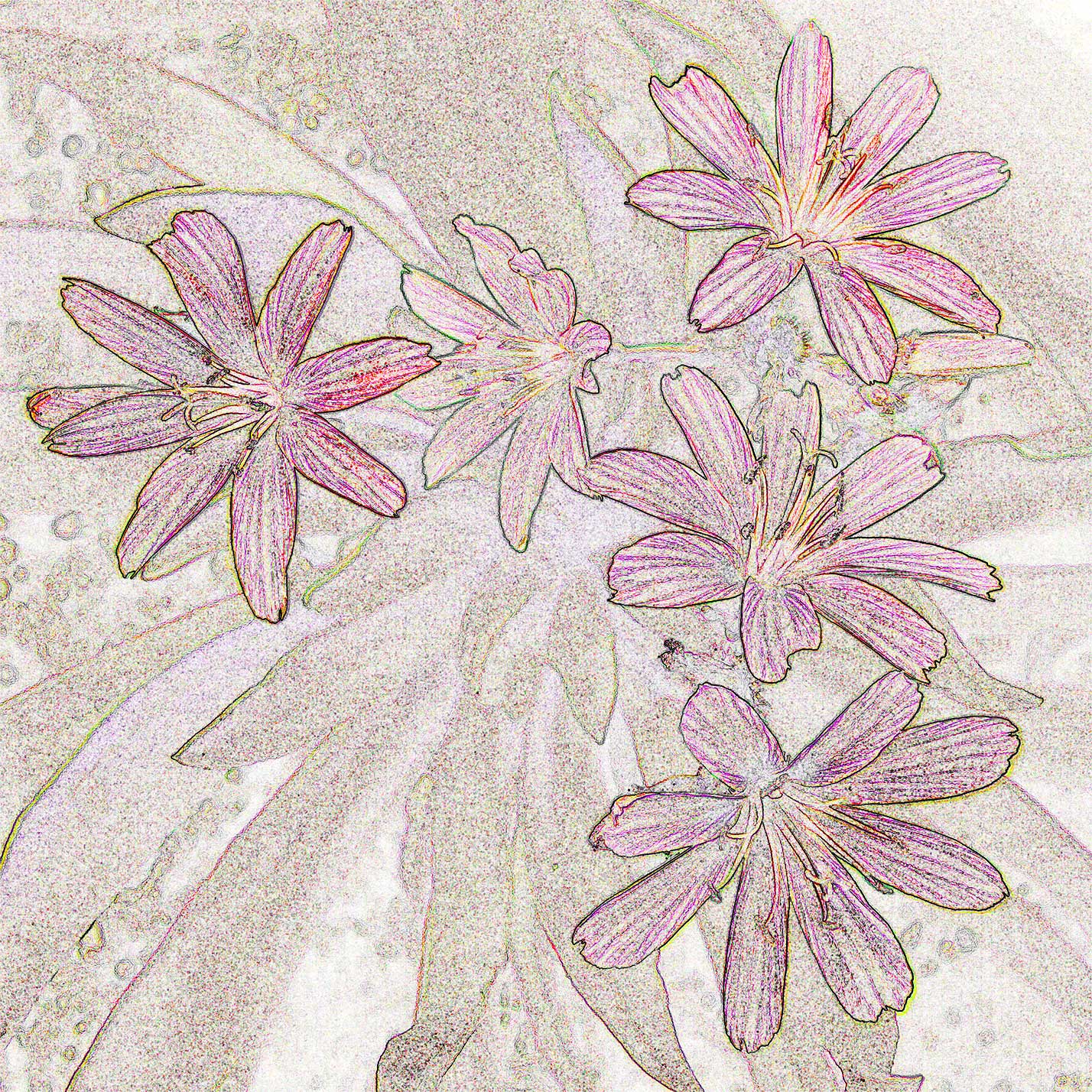 © Erhard Biebl - Floral Artcomposing, alle Rechte vorbehalten