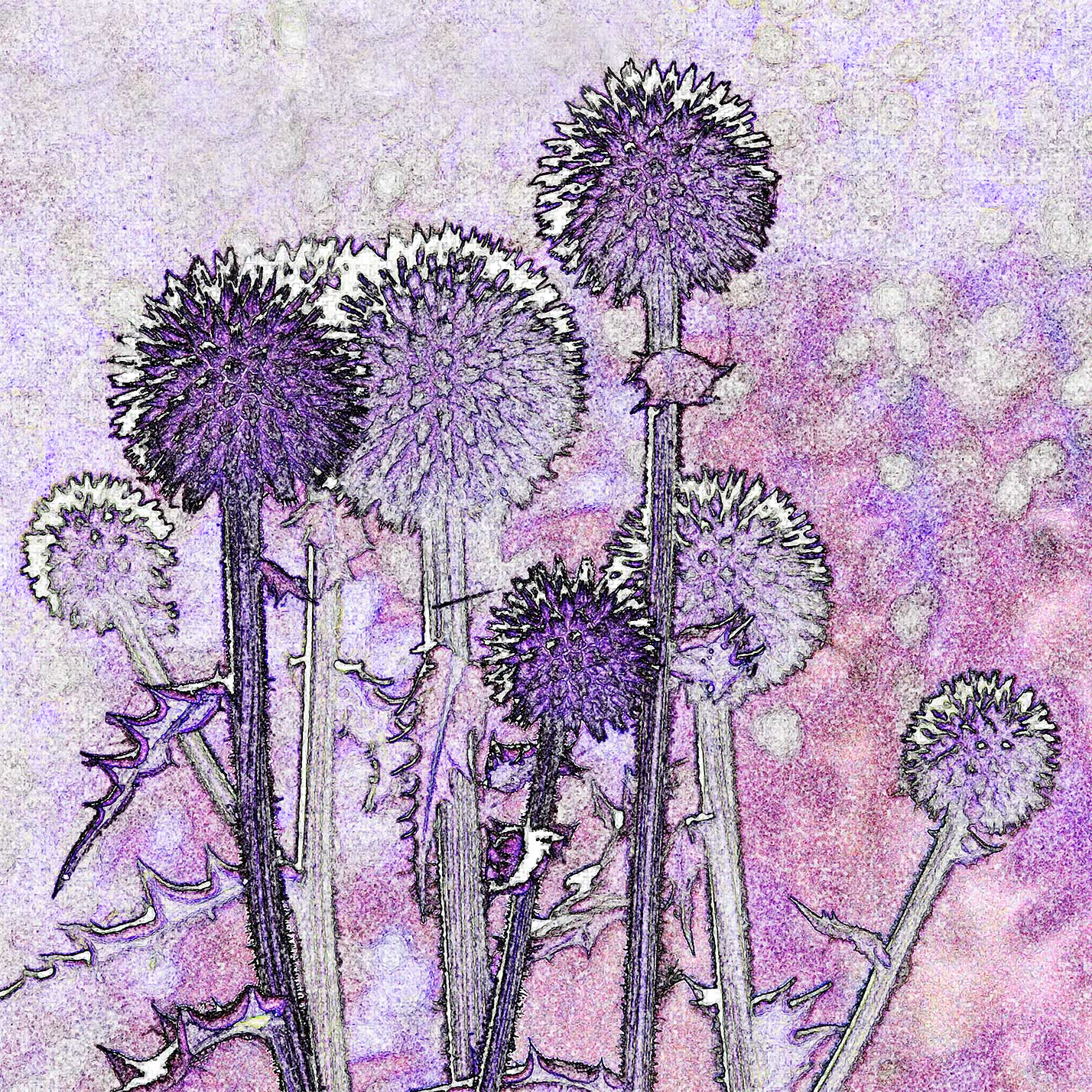 © Erhard Biebl - Floral Artcomposing, alle Rechte vorbehalten