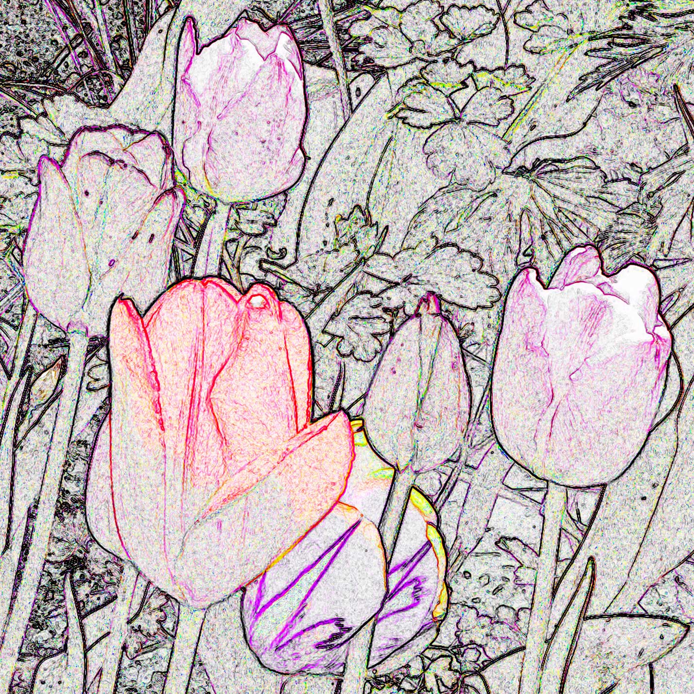 © Erhard Biebl - Floral Artcomposing, alle Rechte vorbehalten