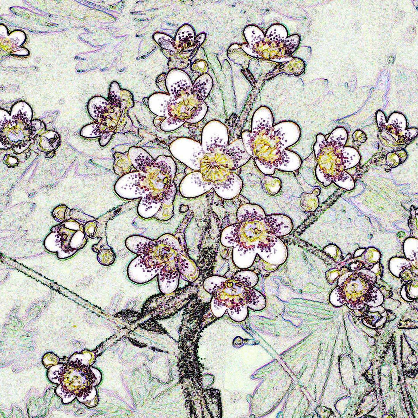 © Erhard Biebl - Floral Artcomposing, alle Rechte vorbehalten