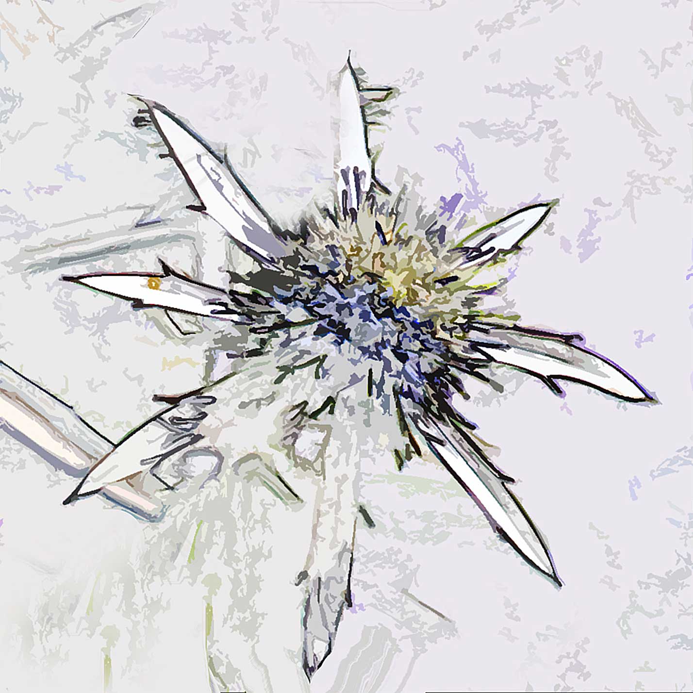 © Erhard Biebl - Floral Artcomposing, alle Rechte vorbehalten