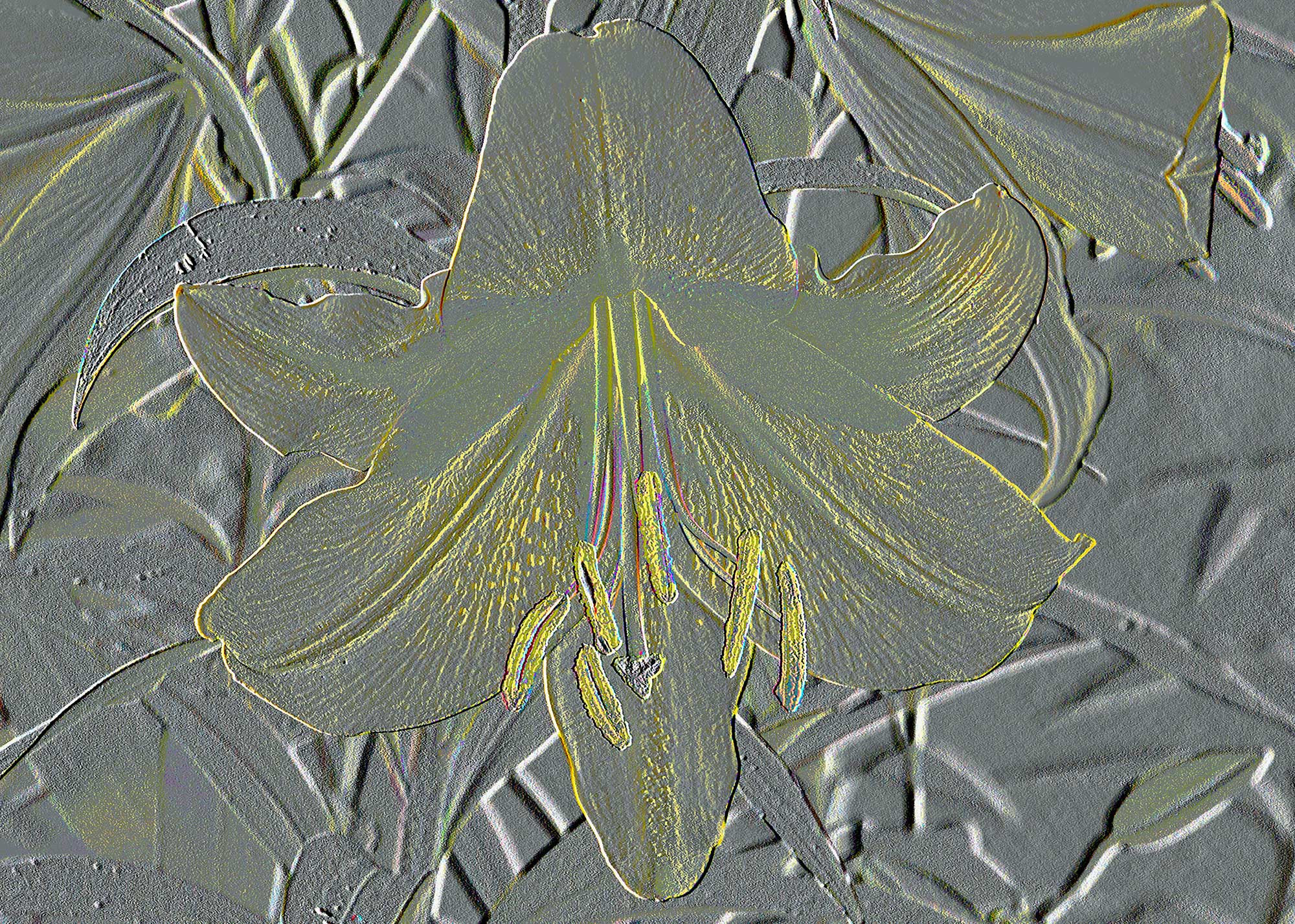 © Erhard Biebl - Floral Artcomposing, alle Rechte vorbehalten