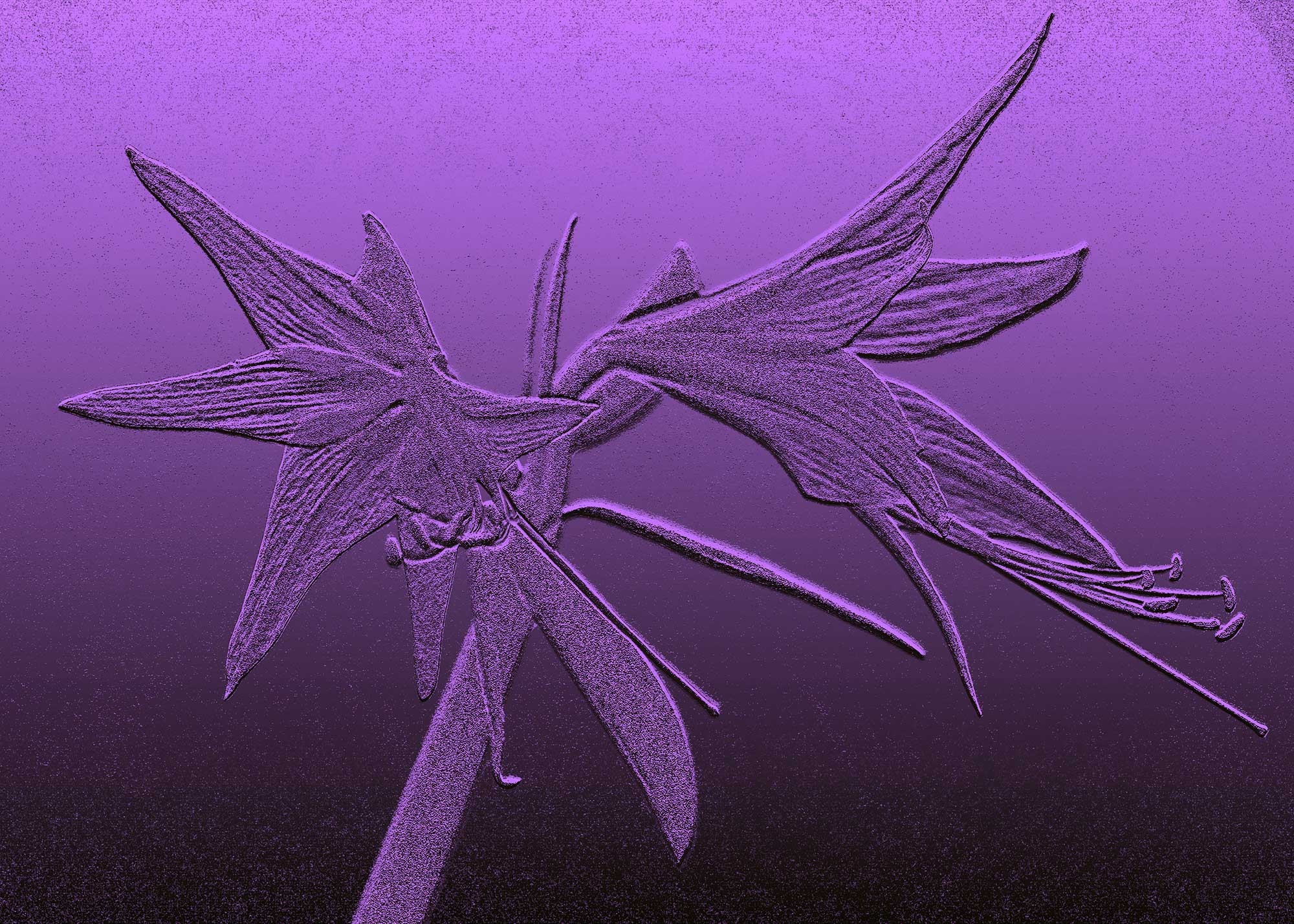 © Erhard Biebl - Floral Artcomposing, alle Rechte vorbehalten