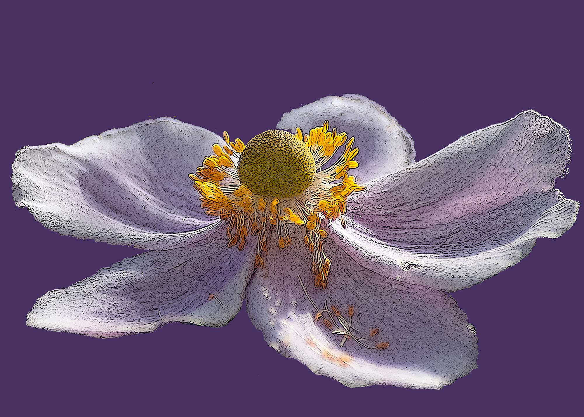 Erhard Biebl - Floral Artcomposing, alle Rechte vorbehalten
