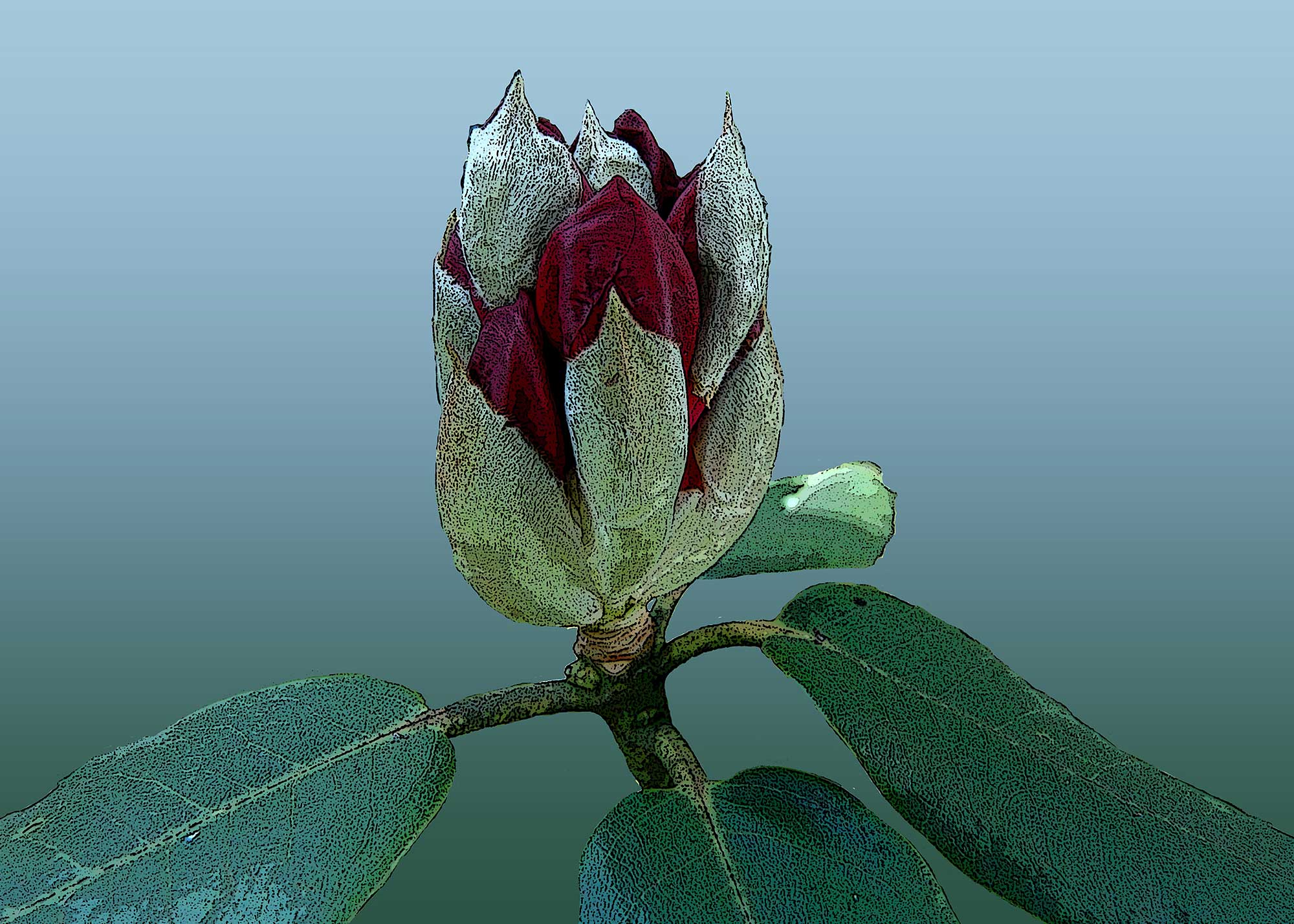 Erhard Biebl - Floral Artcomposing, alle Rechte vorbehalten