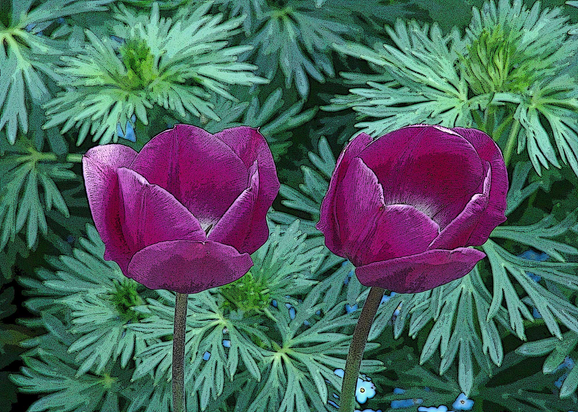 Erhard Biebl - Floral Artcomposing, alle Rechte vorbehalten