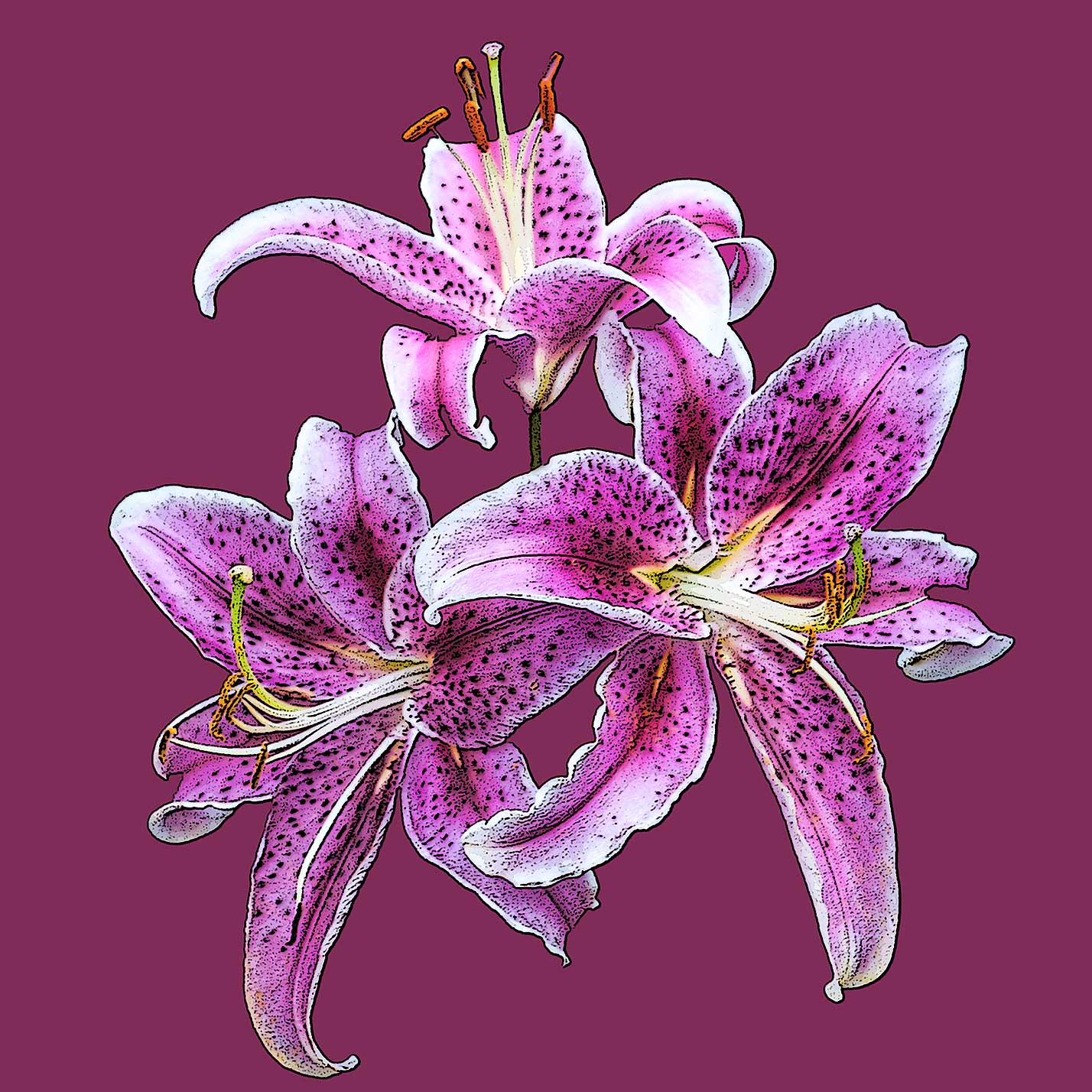 Erhard Biebl - Floral Artcomposing, alle Rechte vorbehalten