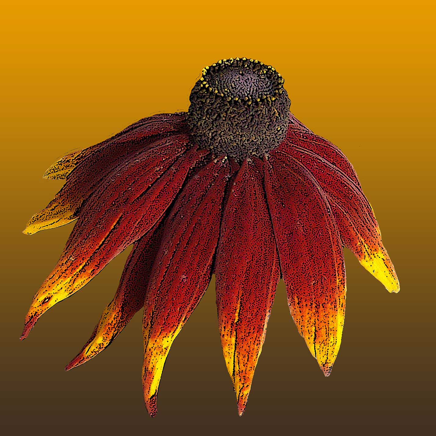 Erhard Biebl - Floral Artcomposing, alle Rechte vorbehalten