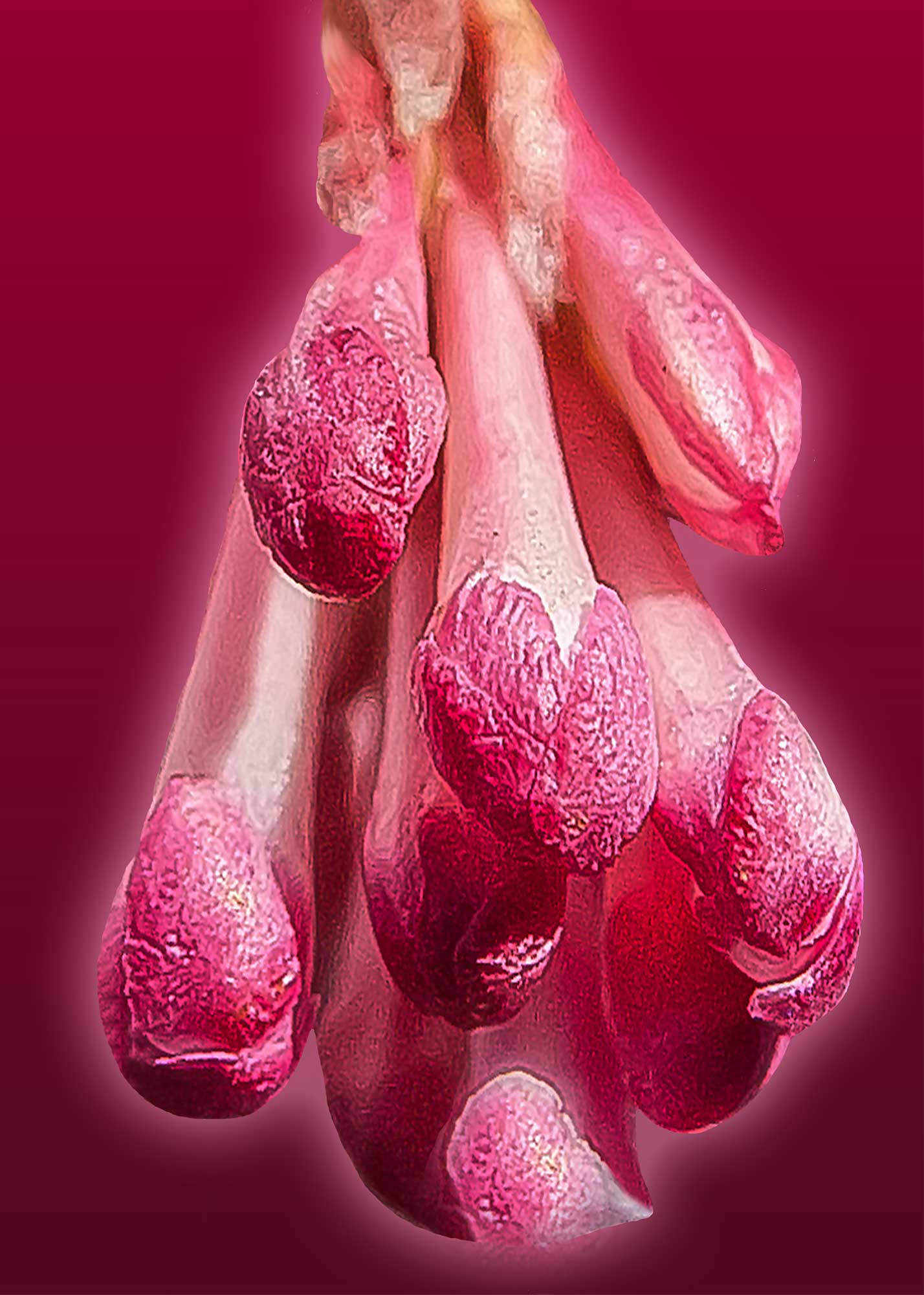 Erhard Biebl - Floral Artcomposing, alle Rechte vorbehalten