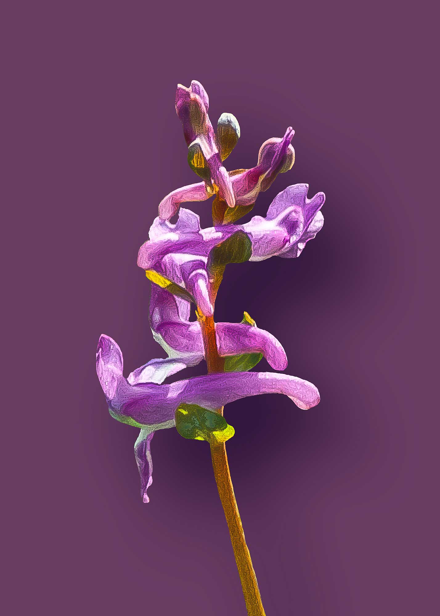 Erhard Biebl - Floral Artcomposing, alle Rechte vorbehalten